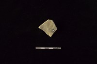 陶片藏品圖，第2張